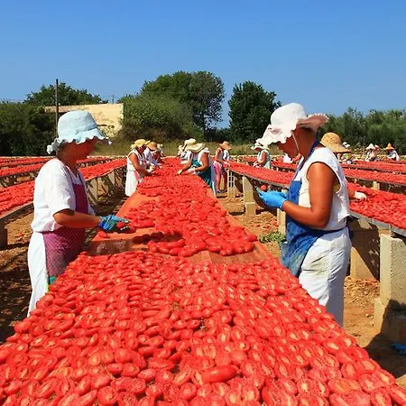 Salento Mirfran Hotel